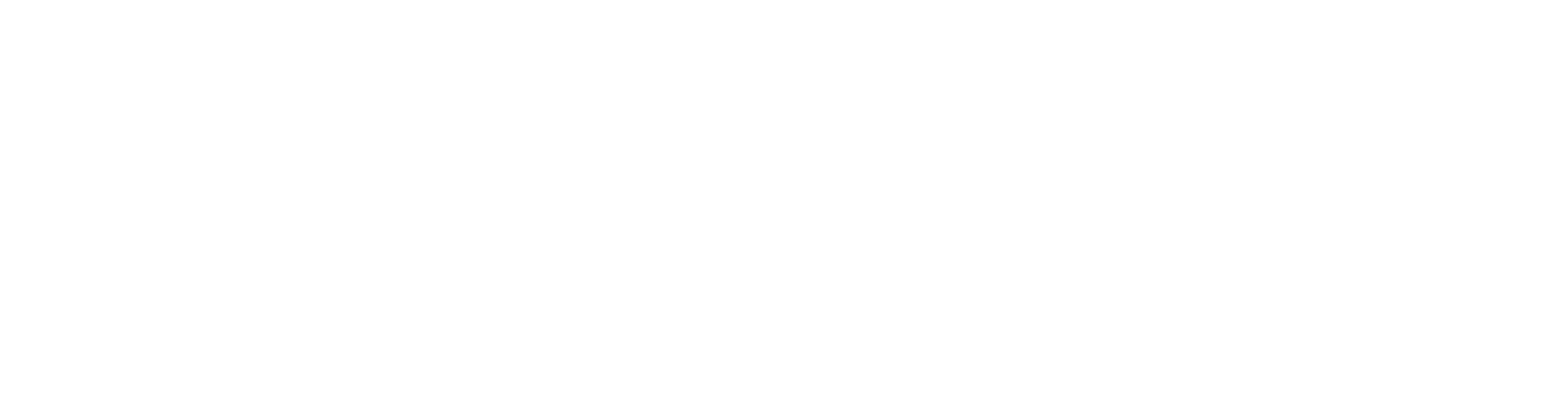 Skyline Roofing Solutions